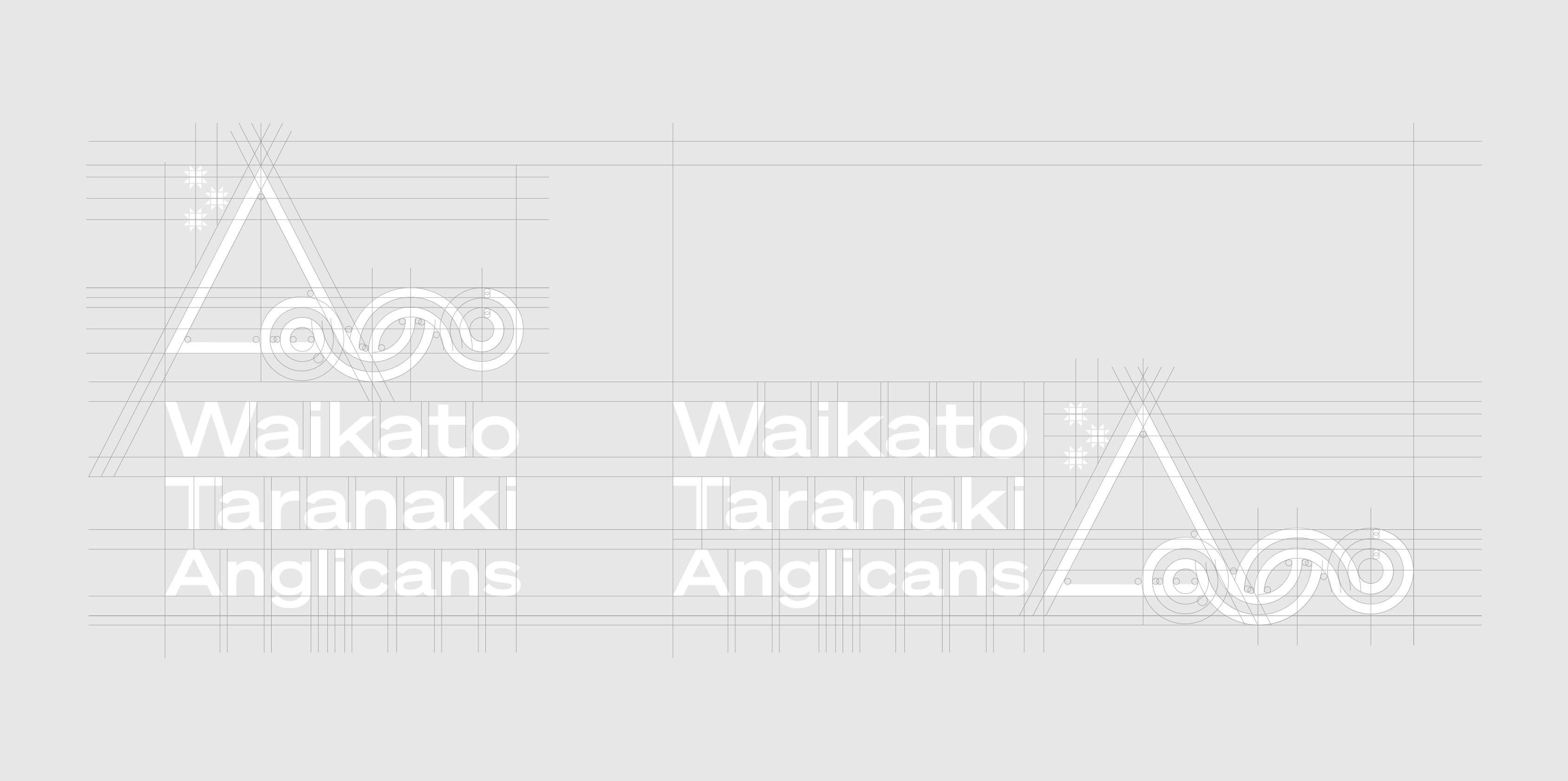 Vine-design-trust-Waikato-Taranaki-Anglican-logo-02