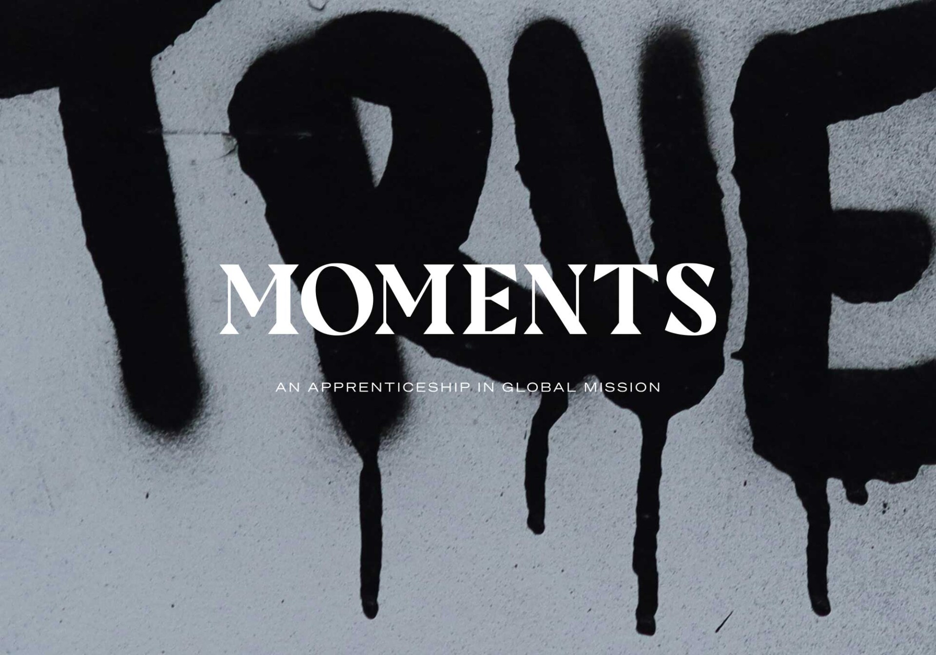 Vine-design-NZCMS-Moments-006