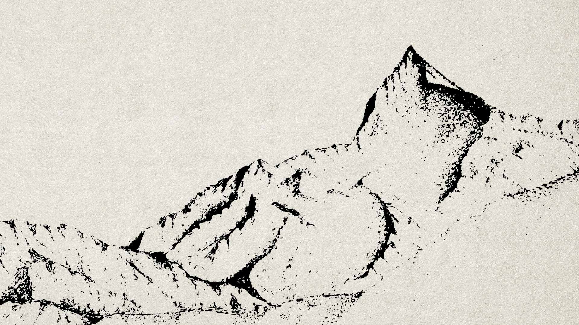 inf-nepal-banner-texture-06